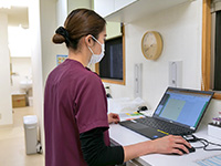 「外来診療」看護師の1日の流れのイメージ